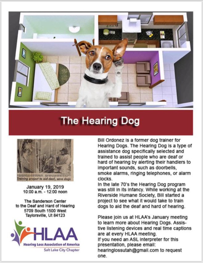 hearing dog flyer
